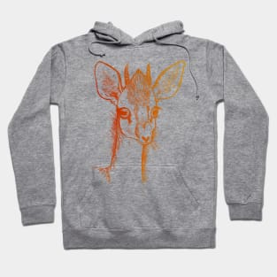 Dik-Dik  Red/Gold Hoodie